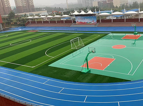 Professional Competition-Grade PVC Sports Roll